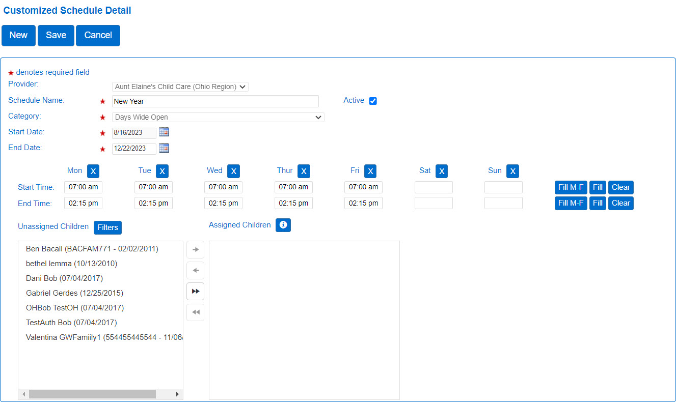Image showing the fields when creating a new Customized Schedule 